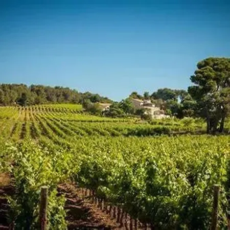 Moderne A Montagnac-montpezat - 32 M² Tranquille 아파트