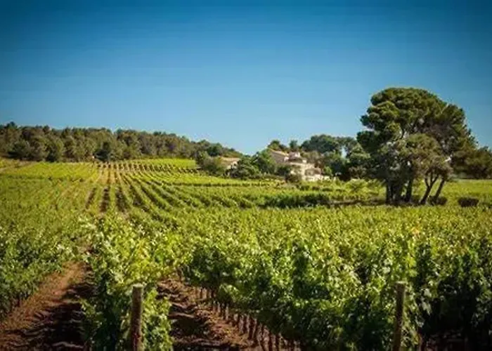 Moderne A Montagnac-montpezat - 32 M² Tranquille 아파트